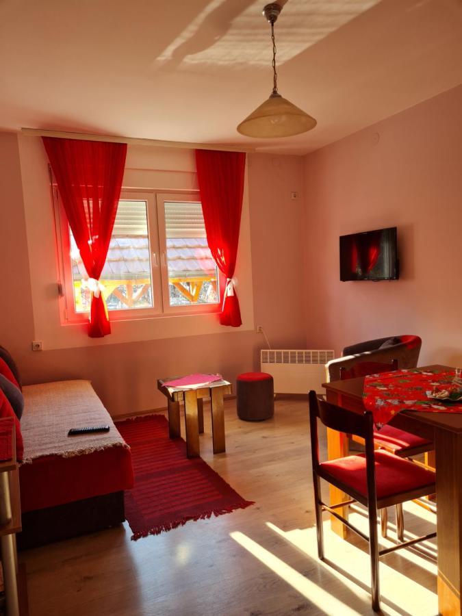 Apartman "Nina" Soko Banja Luaran gambar