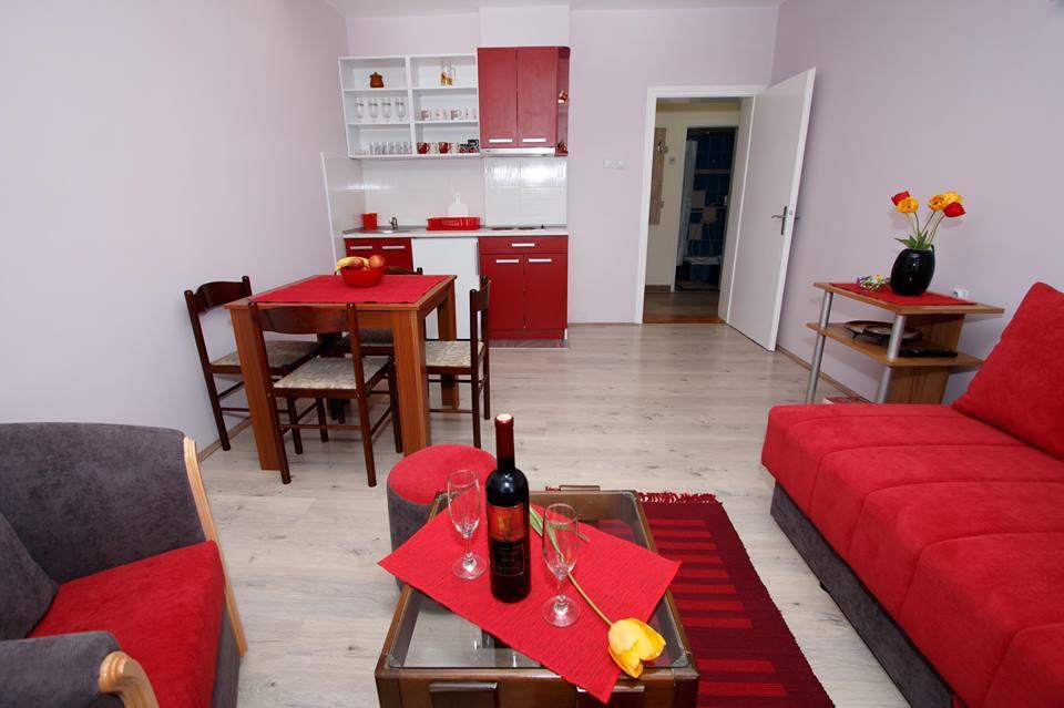 Apartman "Nina" Soko Banja Luaran gambar